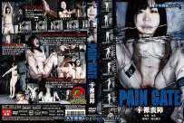 DDSC-029 PAIN GATE 辛裸蛮障 热门