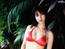 日本经典写真@misty_Idol_Gravure系列236-250[804P/388M/CT]
