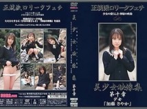 DBE-10 Sayaka Katou 加藤さやか 美少女映像集-White 第10章
